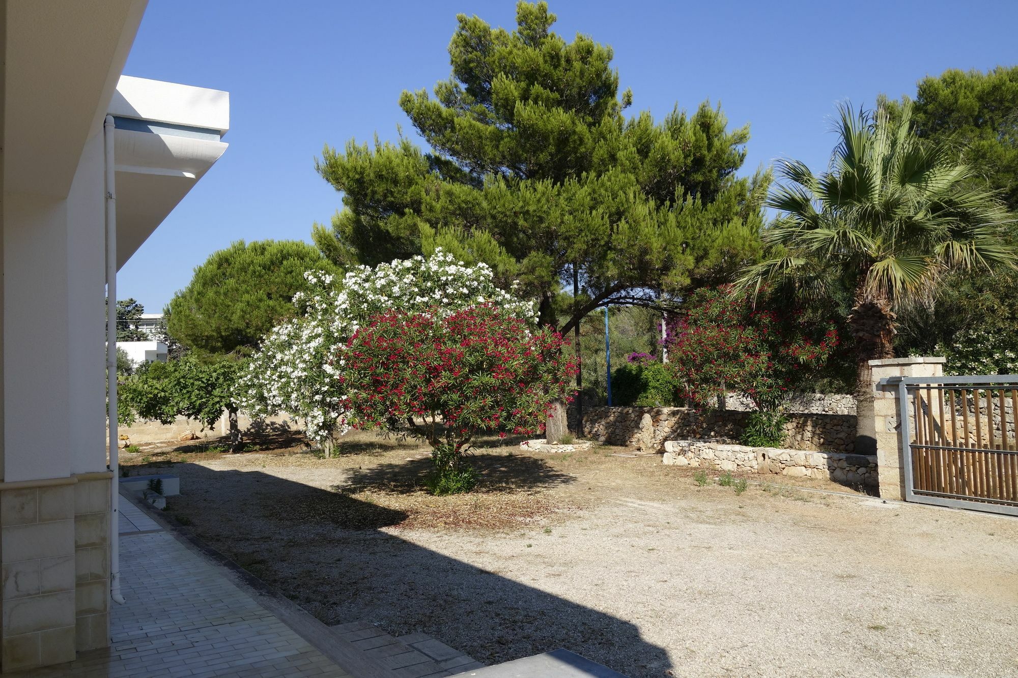 Il Gabbiano Villa Racale Exterior photo